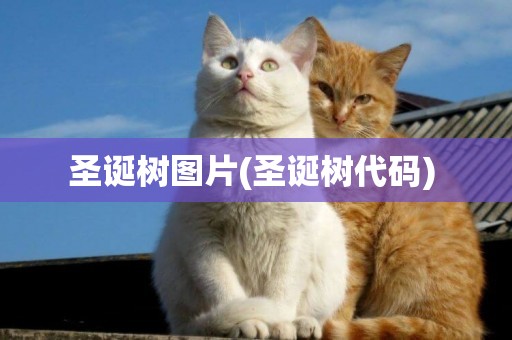 圣誕樹圖片(圣誕樹代碼) 