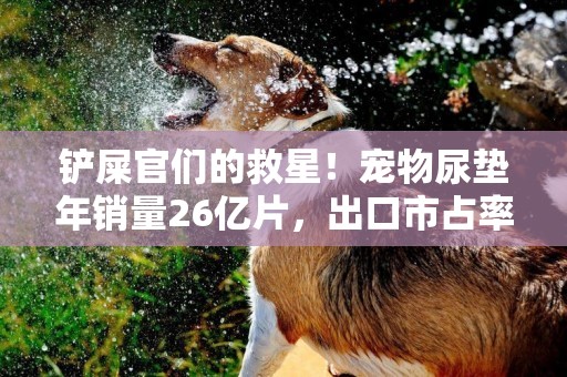 鏟屎官們的救星！寵物尿墊年銷量26億片，出口市占率超36% 