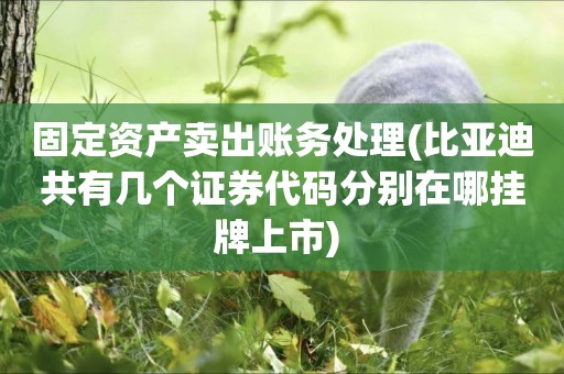 固定資產賣出賬務處理(比亞迪共有幾個證券代碼分別在哪掛牌上市) 