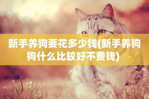 新手養狗要花多少錢(新手養狗狗什么比較好不費錢) 