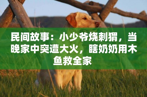 民間故事：小少爺燒刺猬，當晚家中突遭大火，瞎奶奶用木魚救全家 