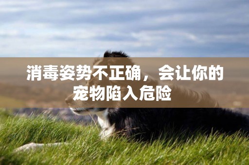 消毒姿勢不正確，會讓你的寵物陷入危險 