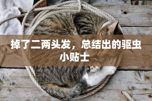 掉了二兩頭發，總結出的驅蟲小貼士 
