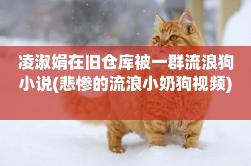 凌淑娟在舊倉庫被一群流浪狗小說(悲慘的流浪小奶狗視頻) 
