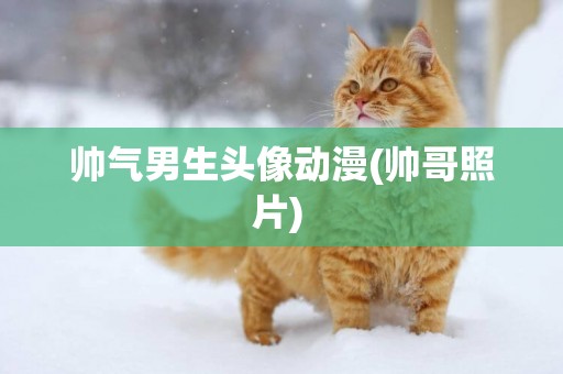帥氣男生頭像動漫(帥哥照片) 