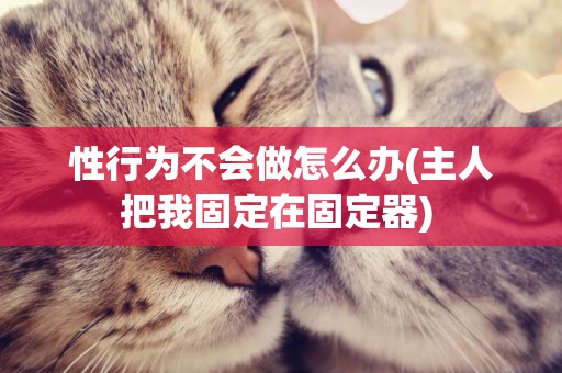 性行為不會做怎么辦(主人把我固定在固定器) 
