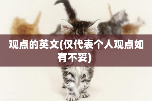 觀點的英文(僅代表個人觀點如有不妥) 