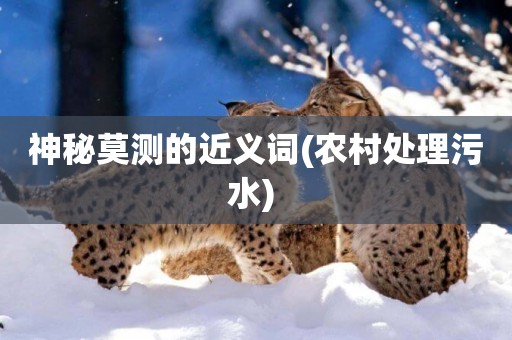 神秘莫測的近義詞(農村處理污水) 