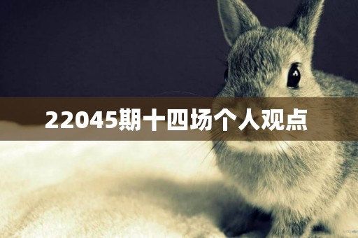 22045期十四場個人觀點 