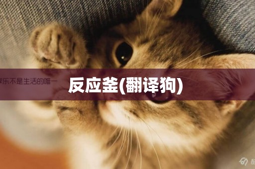 反應釜(翻譯狗) 