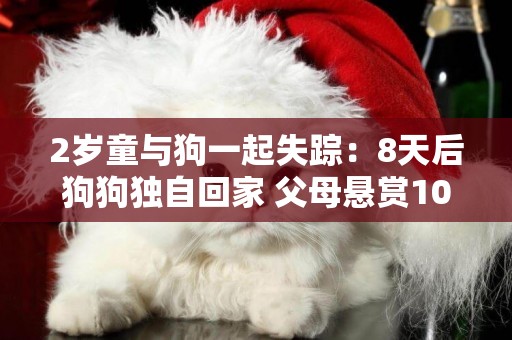 2歲童與狗一起失蹤：8天后狗狗獨自回家 父母懸賞10萬尋人 