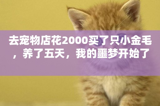 去寵物店花2000買了只小金毛，養了五天，我的噩夢開始了 