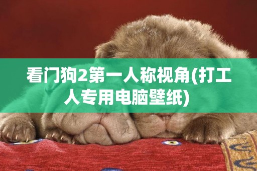 看門狗2第一人稱視角(打工人專用電腦壁紙) 