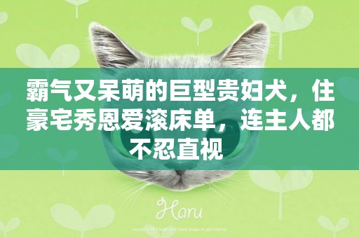 霸氣又呆萌的巨型貴婦犬，住豪宅秀恩愛滾床單，連主人都不忍直視 