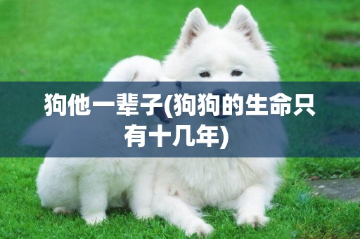 狗他一輩子(狗狗的生命只有十幾年) 