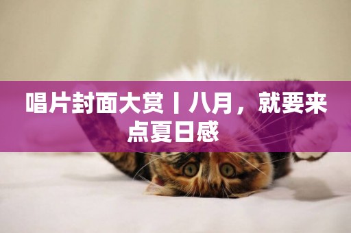唱片封面大賞丨八月，就要來點夏日感 