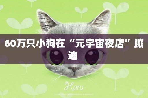 60萬只小狗在“元宇宙夜店”蹦迪 