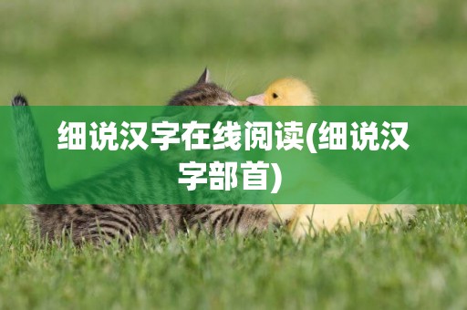 細說漢字在線閱讀(細說漢字部首) 