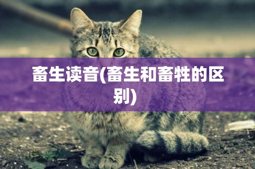 畜生讀音(畜生和畜牲的區別) 