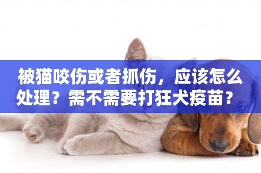 被貓咬傷或者抓傷，應該怎么處理？需不需要打狂犬疫苗？ 