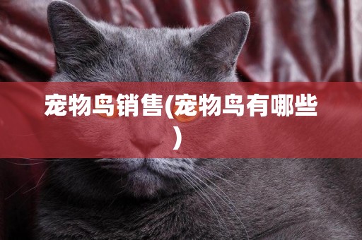 寵物鳥銷售(寵物鳥有哪些) 