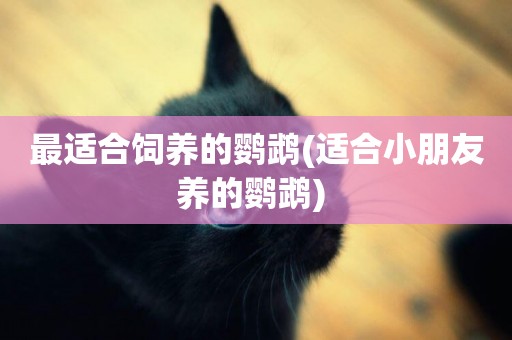 最適合飼養的鸚鵡(適合小朋友養的鸚鵡) 