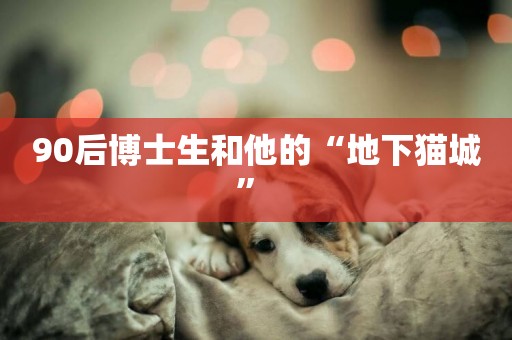 90后博士生和他的“地下貓城” 
