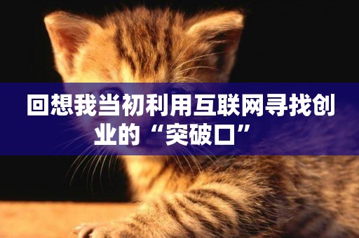 回想我當初利用互聯網尋找創業的“突破口” 