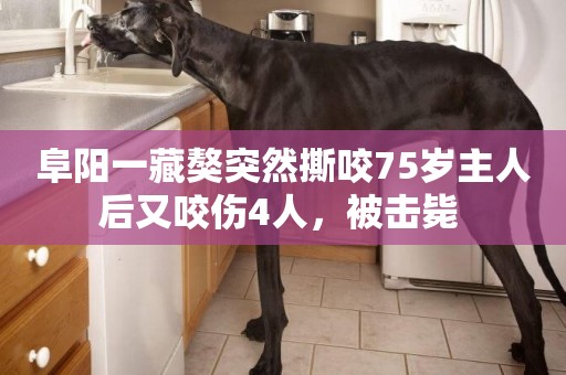 阜陽一藏獒突然撕咬75歲主人后又咬傷4人，被擊斃 