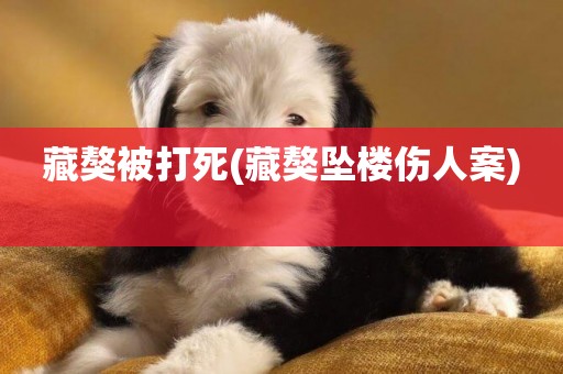 藏獒被打死(藏獒墜樓傷人案) 