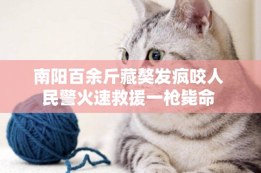 南陽百余斤藏獒發瘋咬人 民警火速救援一槍斃命 