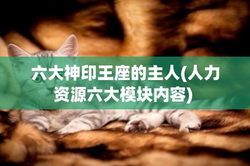 六大神印王座的主人(人力資源六大模塊內容) 