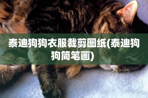 泰迪狗狗衣服裁剪圖紙(泰迪狗狗簡筆畫) 