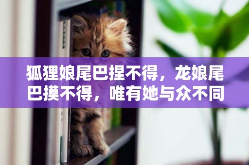 狐貍娘尾巴捏不得，龍娘尾巴摸不得，唯有她與眾不同 