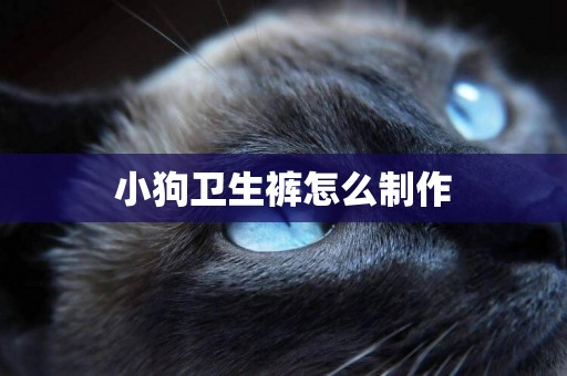 小狗衛生褲怎么制作
