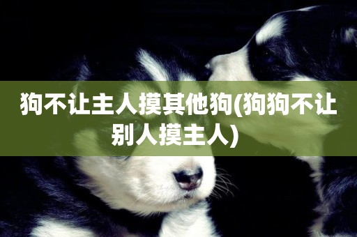 狗不讓主人摸其他狗(狗狗不讓別人摸主人) 
