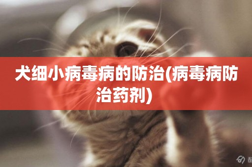 犬細小病毒病的防治(病毒病防治藥劑) 