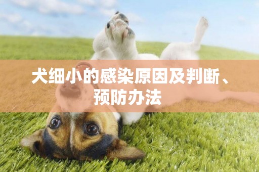 犬細小的感染原因及判斷、預防辦法 
