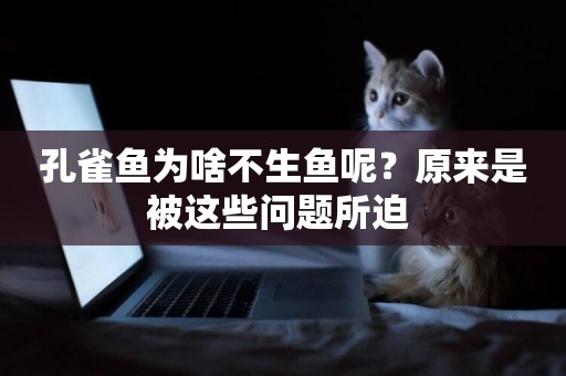 孔雀魚為啥不生魚呢？原來是被這些問題所迫 