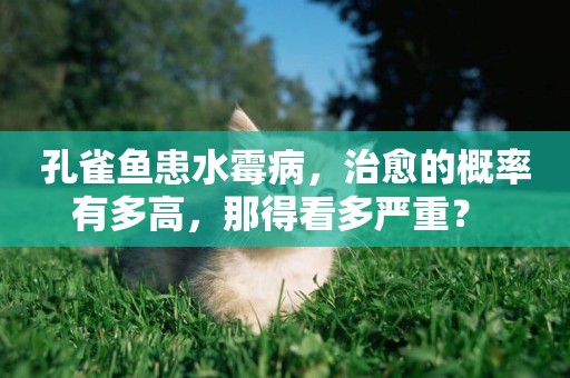 孔雀魚患水霉病，治愈的概率有多高，那得看多嚴重？ 