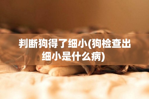 判斷狗得了細小(狗檢查出細小是什么病) 