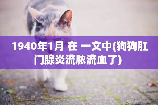 1940年1月 在 一文中(狗狗肛門腺炎流膿流血了) 