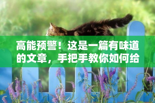 高能預警！這是一篇有味道的文章，手把手教你如何給貓咪擠肛門腺 