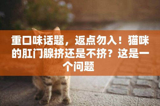 重口味話題，返點勿入！貓咪的肛門腺擠還是不擠？這是一個問題 