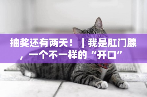 抽獎還有兩天！｜我是肛門腺，一個不一樣的“開口” 