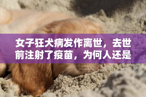 女子狂犬病發作離世，去世前注射了疫苗，為何人還是沒了？ 