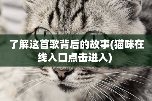 了解這首歌背后的故事(貓咪在線入口點擊進入) 