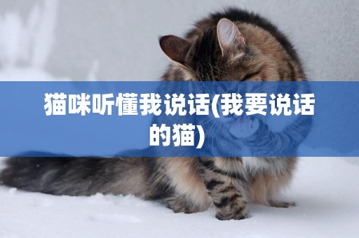 貓咪聽懂我說話(我要說話的貓) 