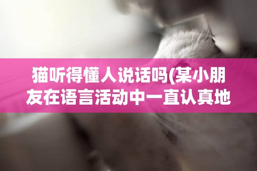 貓聽得懂人說話嗎(某小朋友在語言活動中一直認真地) 