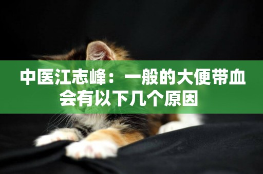 中醫江志峰：一般的大便帶血會有以下幾個原因 